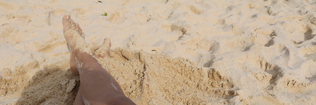 Oterolandia's profile banner image