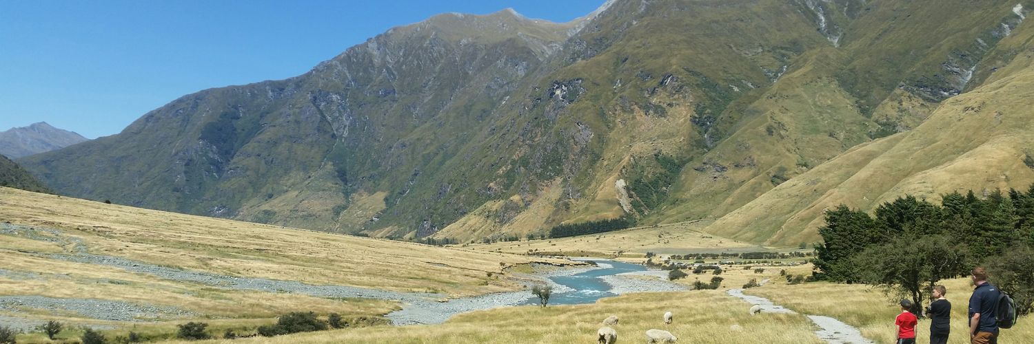 msrobbo14's profile banner image