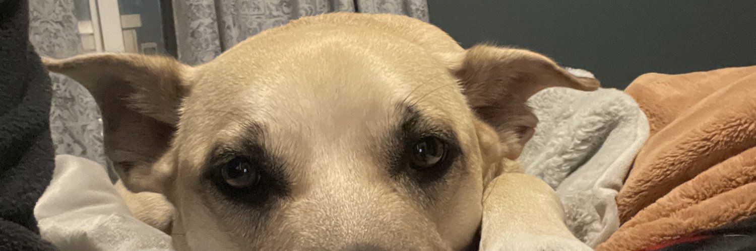 wh0sms's profile banner image