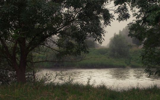 AmbarBecrra's profile banner image