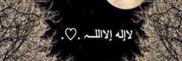 1411Looly's profile banner image