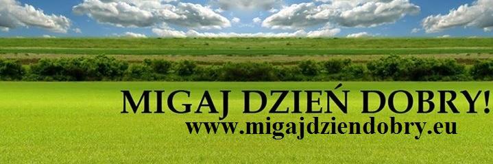 migaj_eu's profile banner image