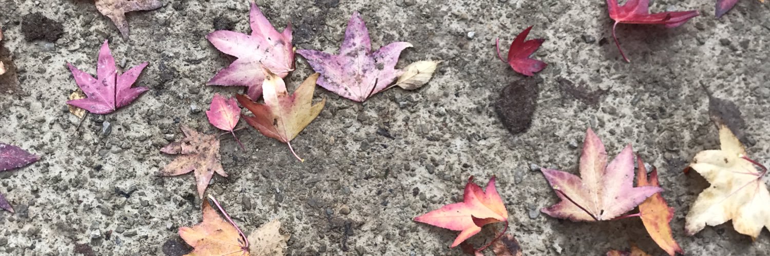 Lynne Burrell banner