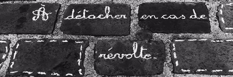 NCamilotto's profile banner image