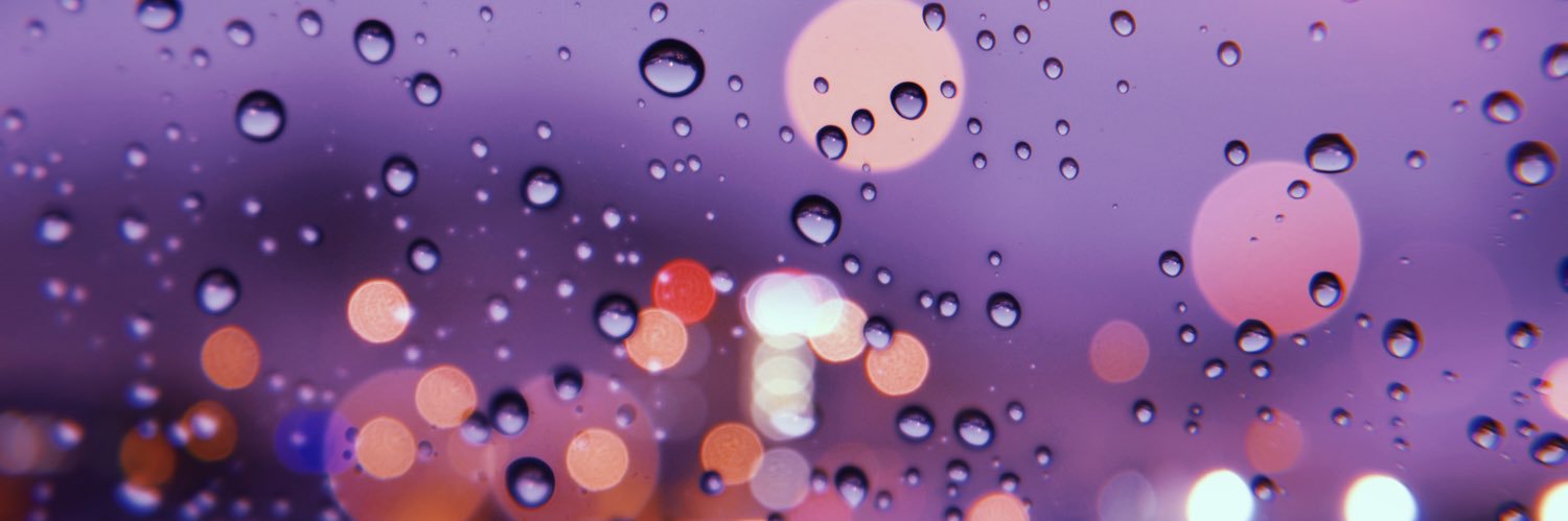 allisoncarubba's profile banner image