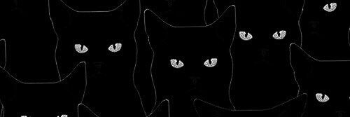 lynmxhmd's profile banner image