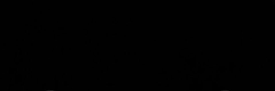 sttmwz's profile banner image