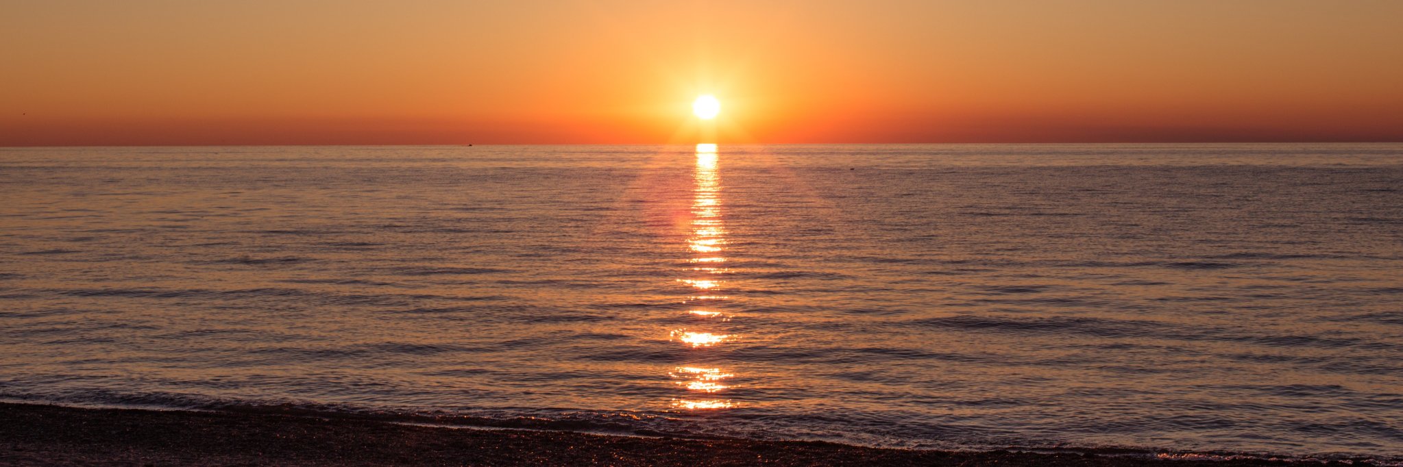 Kelly Summers Photo banner