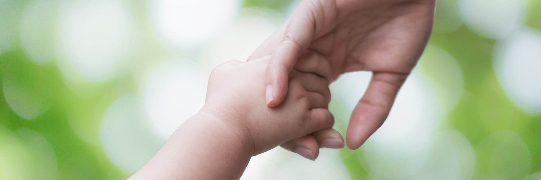 ParentChoiceAB's profile banner image