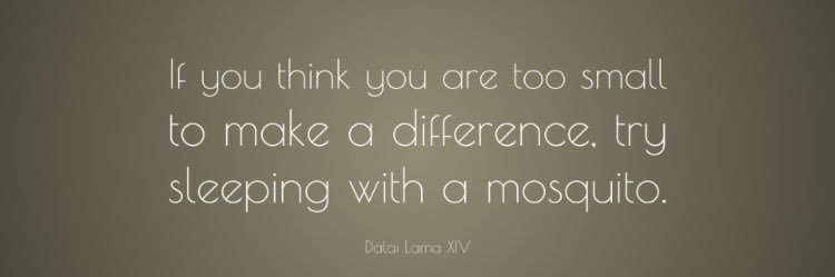 Hannah Goldstein banner