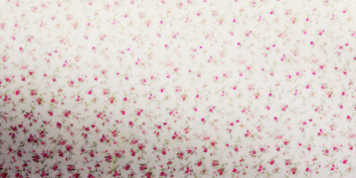 cercogdrs's profile banner image