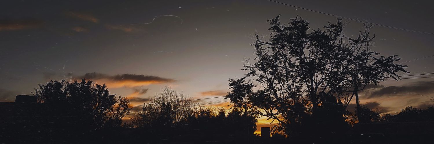 MariBono1's profile banner image