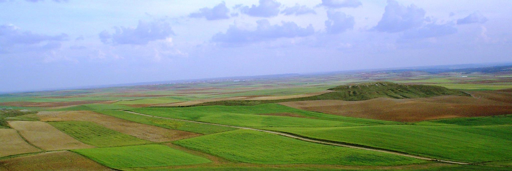 ANANPOZO's profile banner image