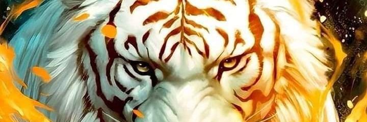 fpecinaz's profile banner image