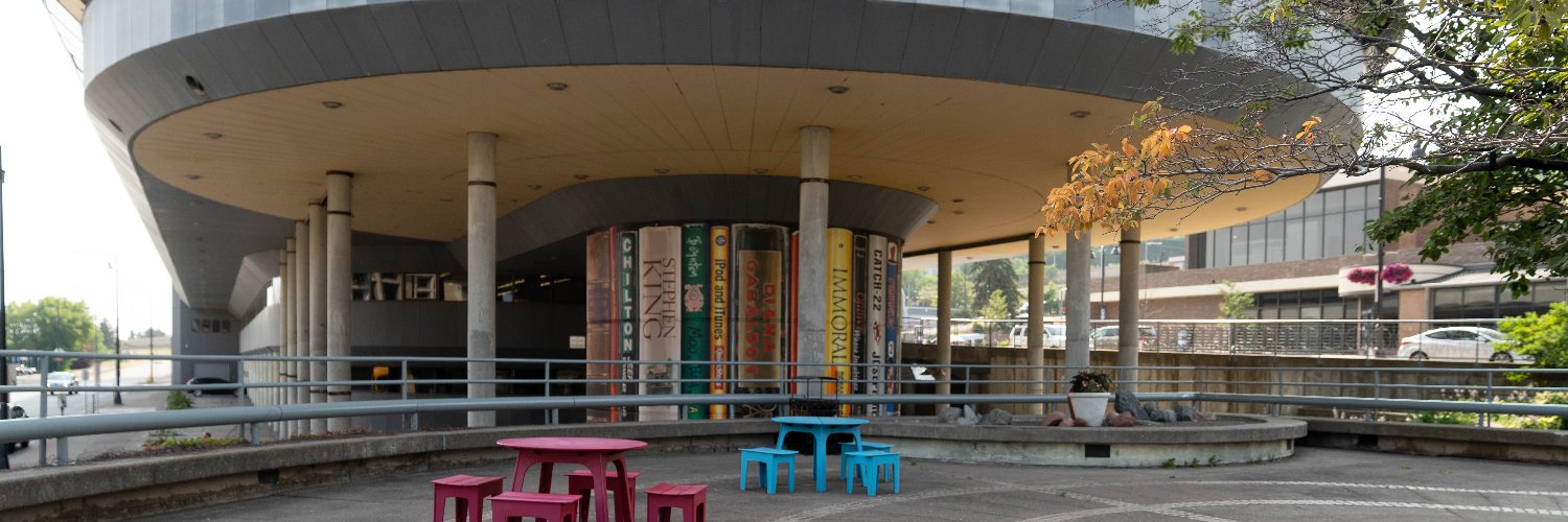 Duluth Public Library banner