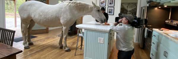 FullNelsonVideo Profile Banner