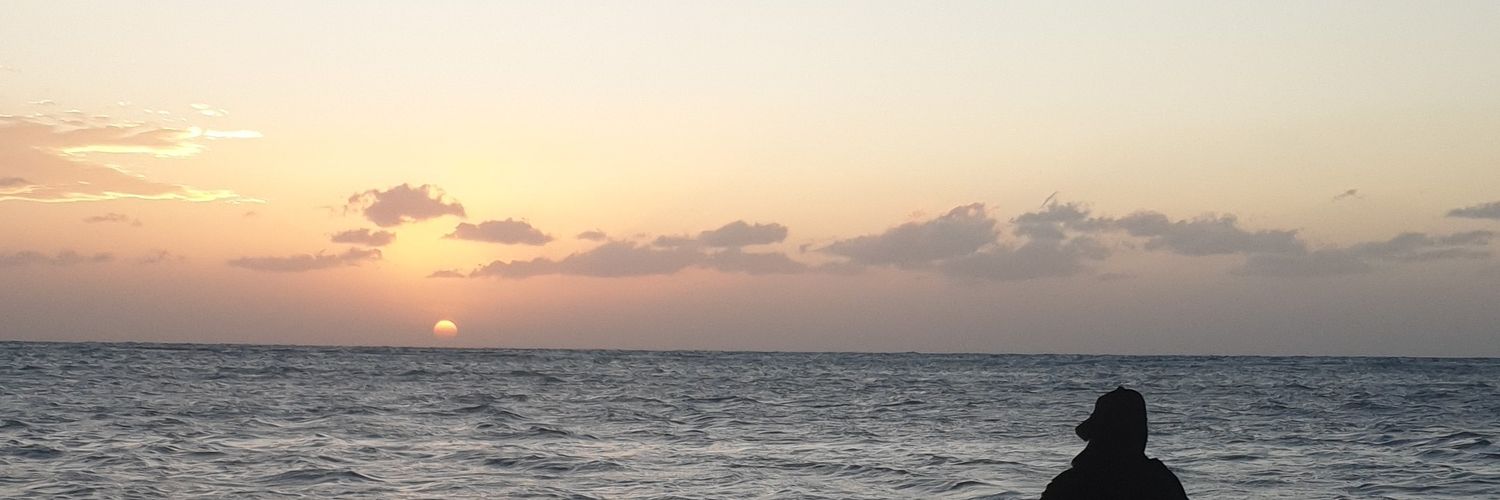 a6263s's profile banner image
