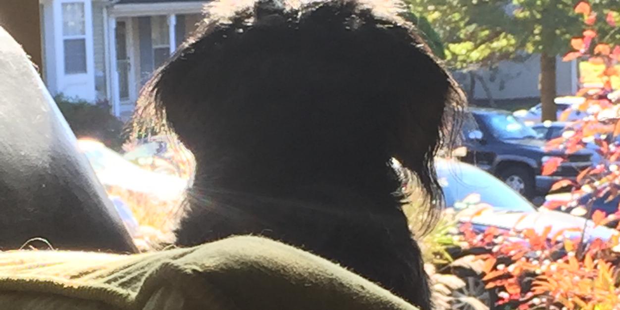 kellycrowe12's profile banner image