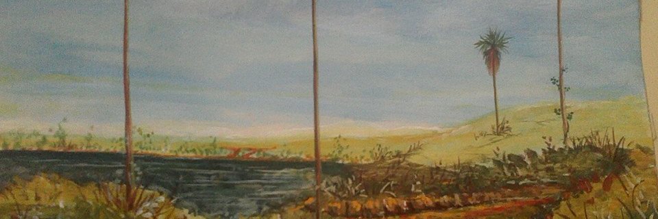 TomsVE banner