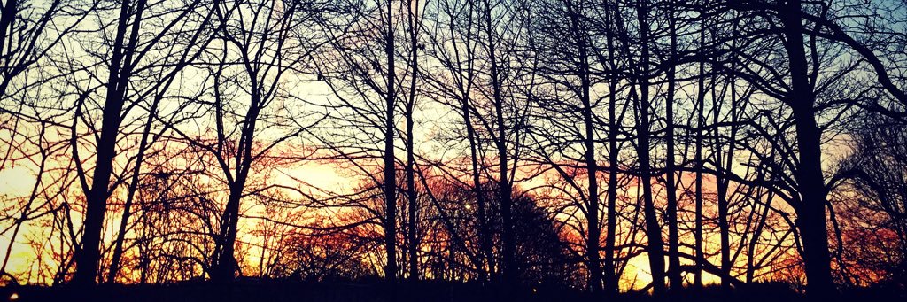 robshiel_'s profile banner image