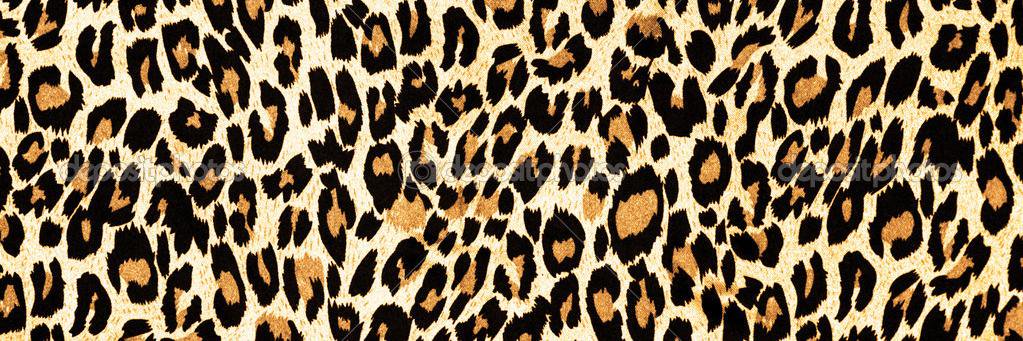 Meg 🧙🏻‍♀️ banner