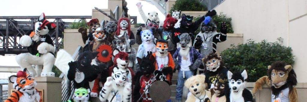 RazzHusky's profile banner image