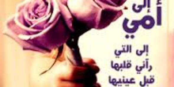 Rose9881's profile banner image