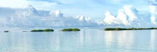 donhulin Profile Banner