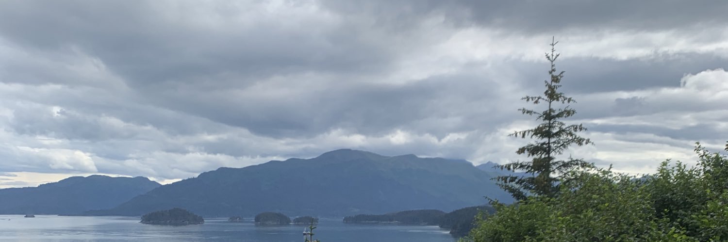 iii_ns's profile banner image