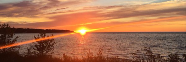 Merfco Profile Banner