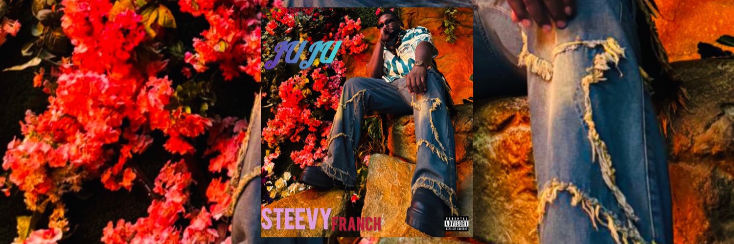 steevyfranch's profile banner image