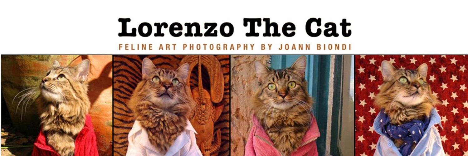 The Spirit of Lorenzo the Cat's banner