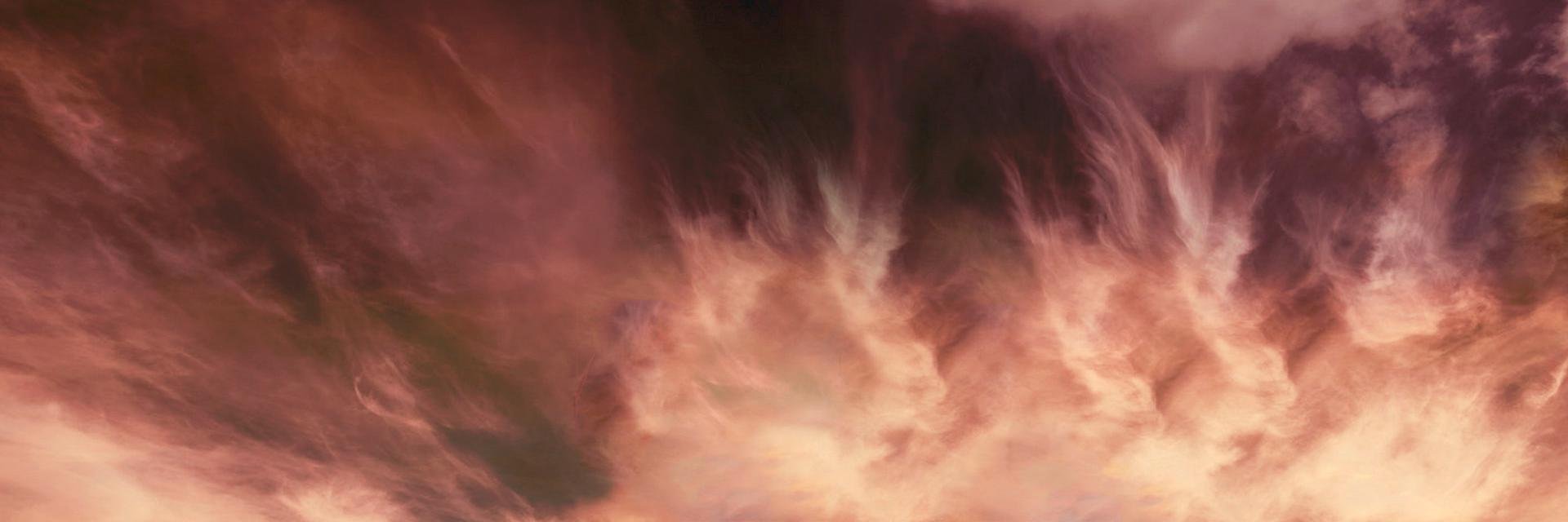 RalucaAlelenei's profile banner image