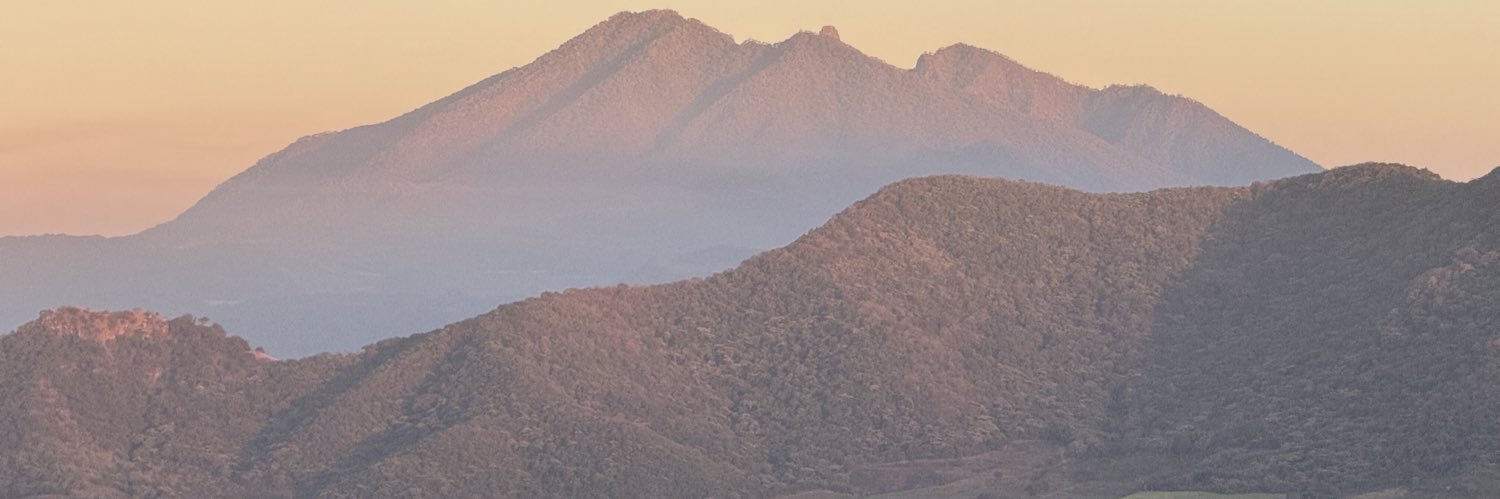cardielito's profile banner image