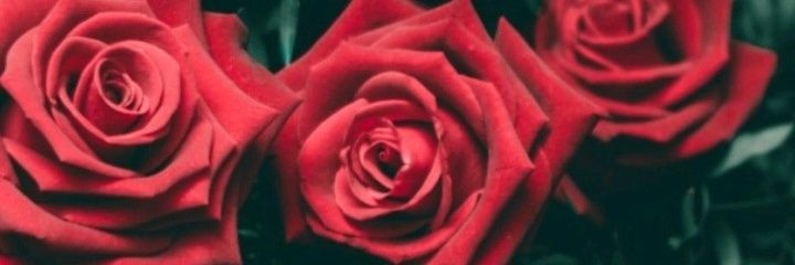 BarbyRamirezOk's profile banner image