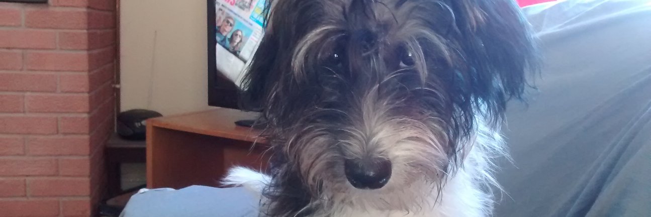 stanmikestancer banner