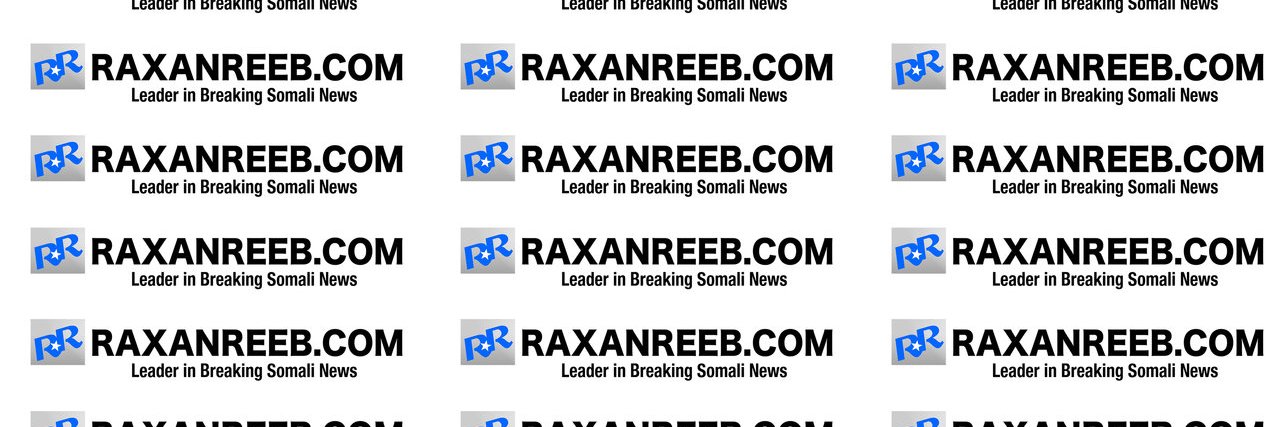 raxanreeb's profile banner image