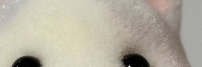 Tiagogai's profile banner image
