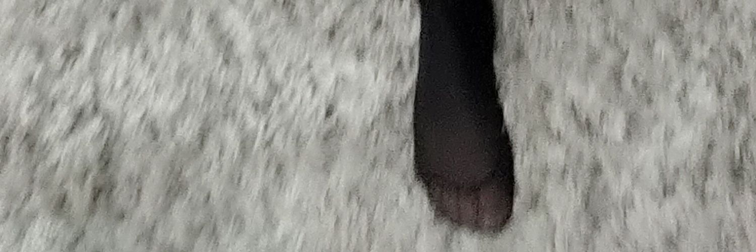 MaxKleinbaum's profile banner image