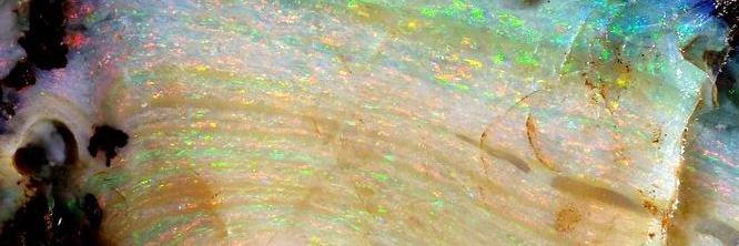 siswomyn's profile banner image