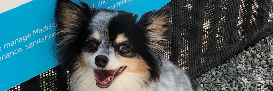 SungYunCho's profile banner image