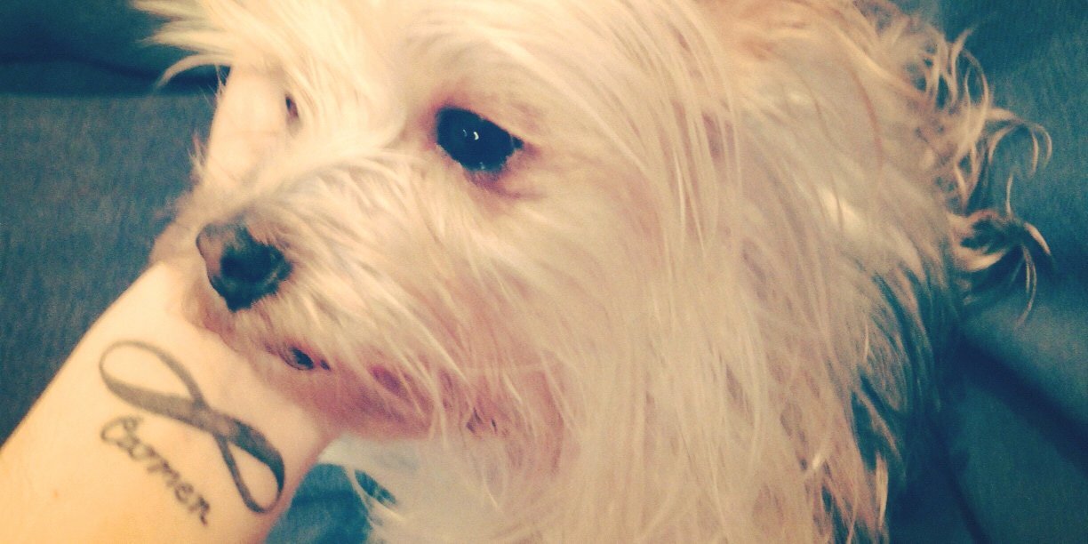 Rcoooo's profile banner image