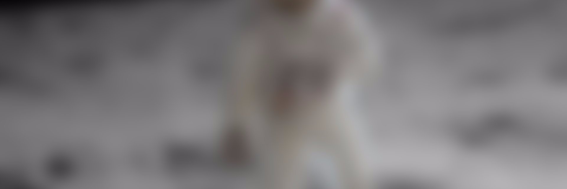 Netfall's profile banner image