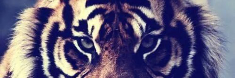 veejay224's profile banner image