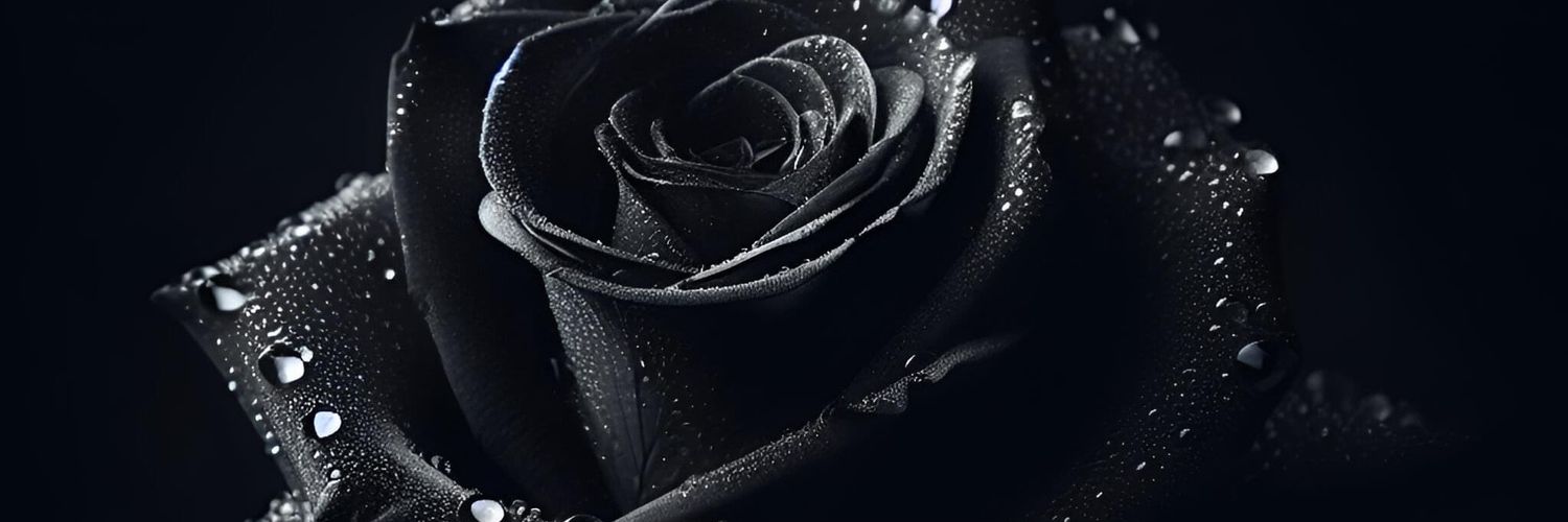 BautiMarco's profile banner image