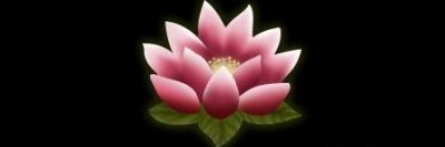 _Lucie_M's profile banner image