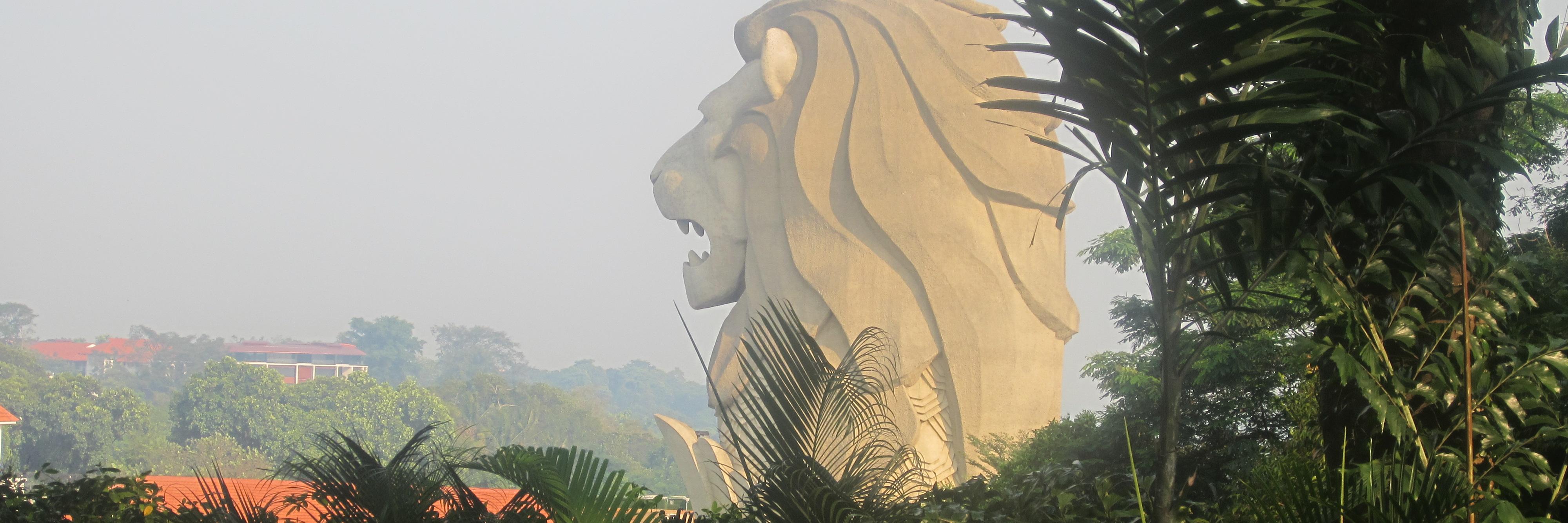 peterfenech_TO's profile banner image