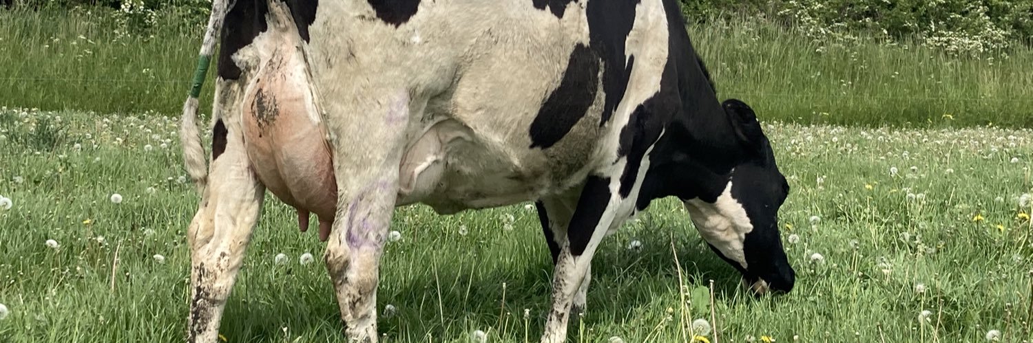 Matthew Beeston banner