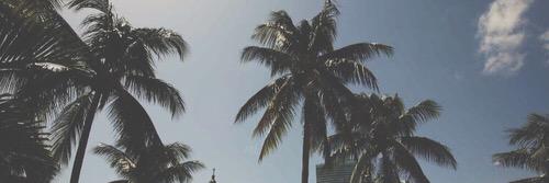 maybelandis's profile banner image
