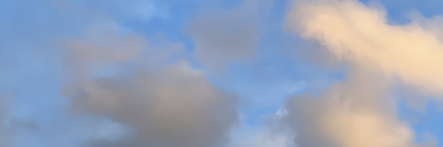 B_urandon's profile banner image